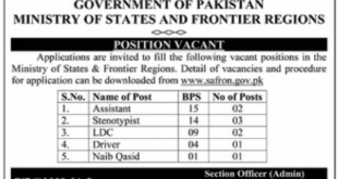 Government of Pakistan Job Vacancies